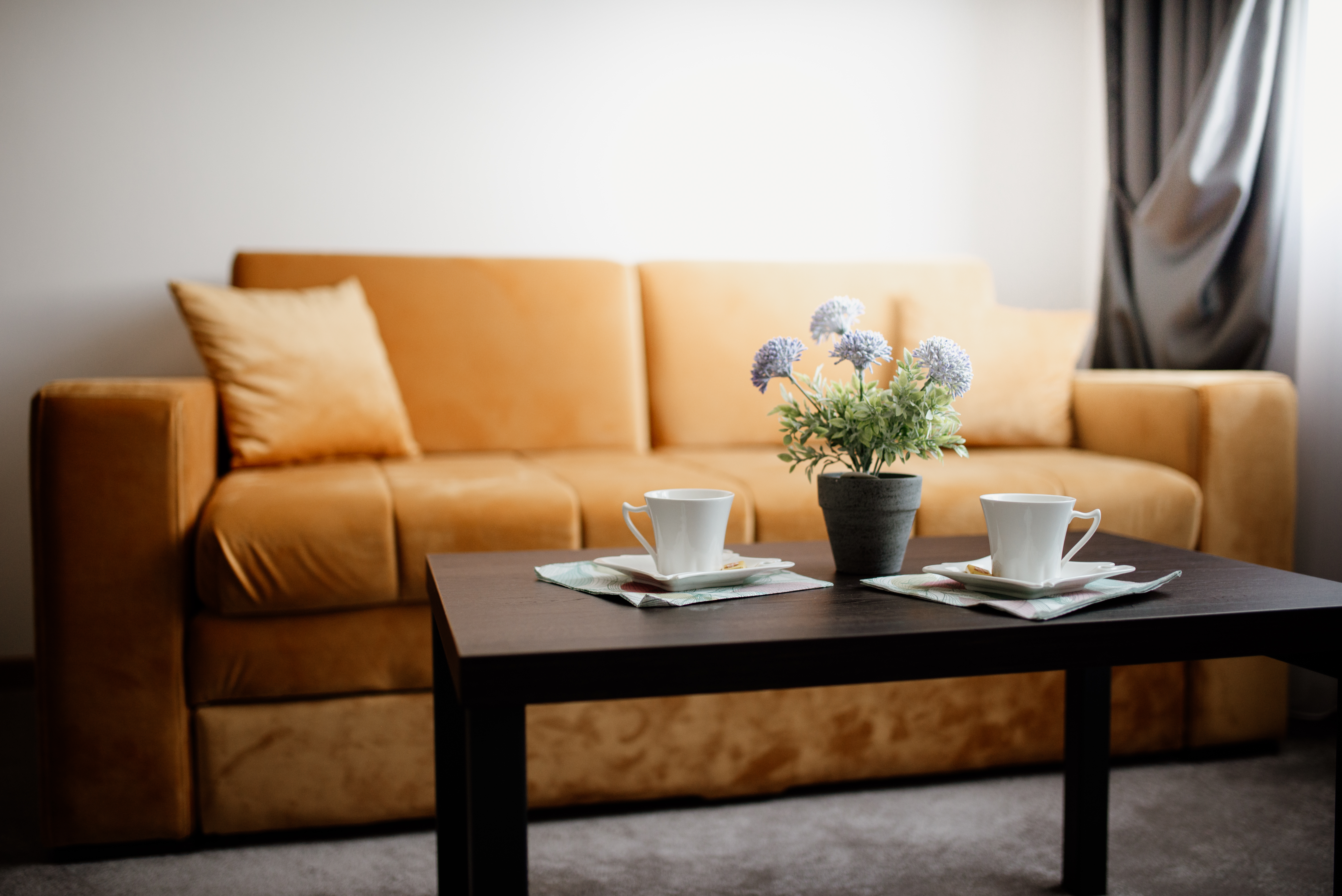 Sofa small living room shown in a home setting